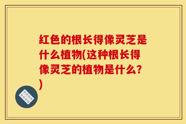 红色的根长得像灵芝是什么植物(这种根长得像灵芝的植物是什么?)