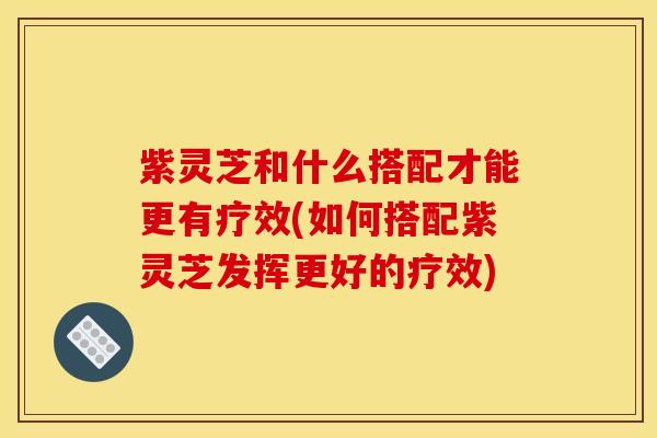 紫灵芝和什么搭配才能更有疗效(如何搭配紫灵芝发挥更好的疗效)
