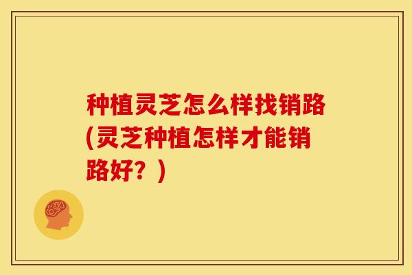 种植灵芝怎么样找销路(灵芝种植怎样才能销路好?)