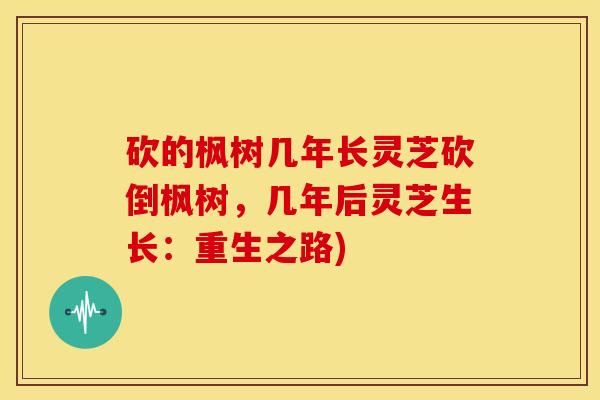 砍的枫树几年长灵芝砍倒枫树,几年后灵芝生长:重生之路)