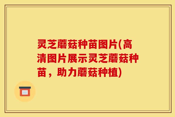 灵芝蘑菇种苗图片(高清图片展示灵芝蘑菇种苗，助力蘑菇种植)