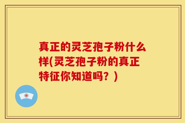 真正的灵芝孢子粉什么样(灵芝孢子粉的真正特征你知道吗?)