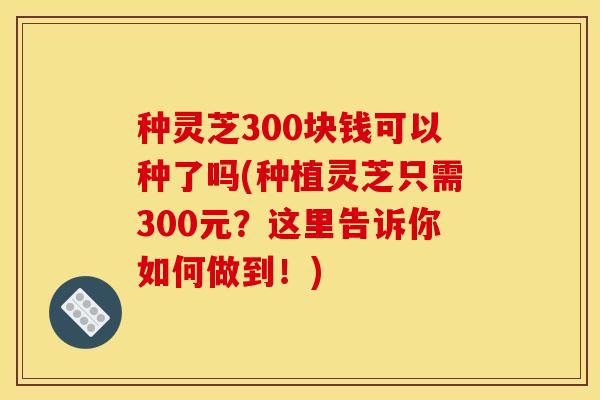种灵芝300块钱可以种了吗(种植灵芝只需300元?这里告诉你如何做到!)