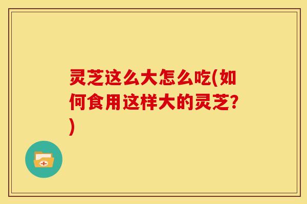 灵芝这么大怎么吃(如何食用这样大的灵芝？)