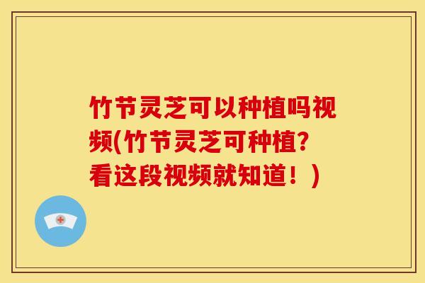 竹节灵芝可以种植吗视频(竹节灵芝可种植?看这段视频就知道!)