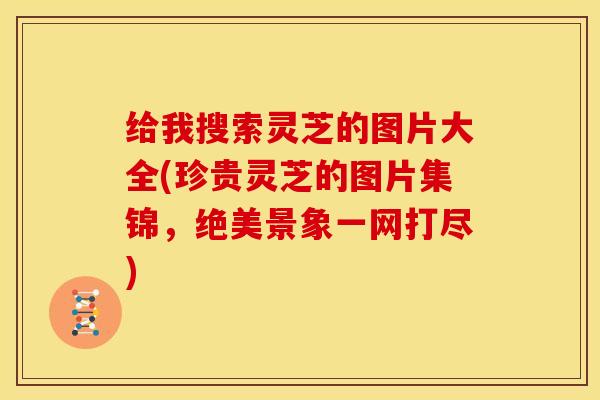 给我搜索灵芝的图片大全(珍贵灵芝的图片集锦，绝美景象一网打尽)
