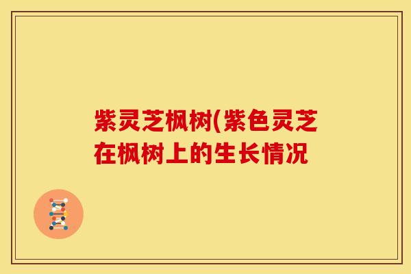 紫灵芝枫树(紫色灵芝在枫树上的生长情况