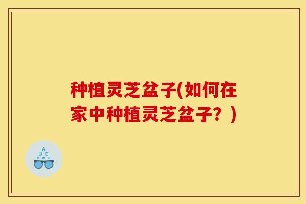 种植灵芝盆子(如何在家中种植灵芝盆子?)