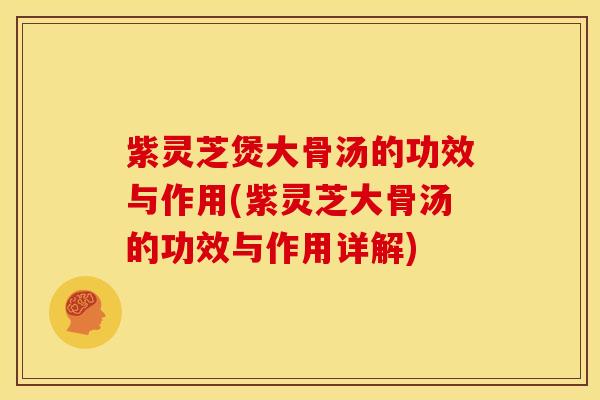 紫灵芝煲大骨汤的功效与作用(紫灵芝大骨汤的功效与作用详解)