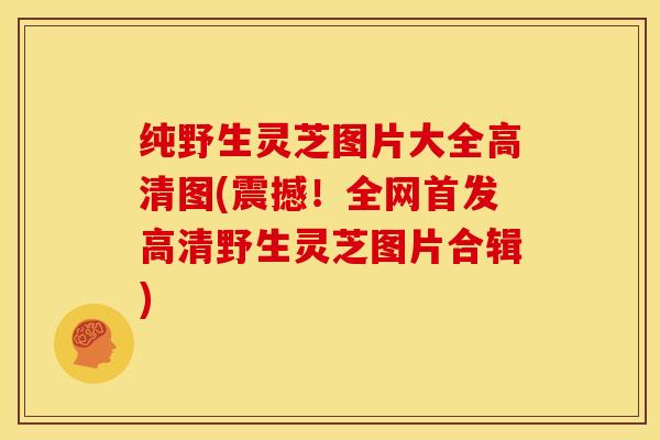纯野生灵芝图片大全高清图(震撼!全网首发高清野生灵芝图片合辑)