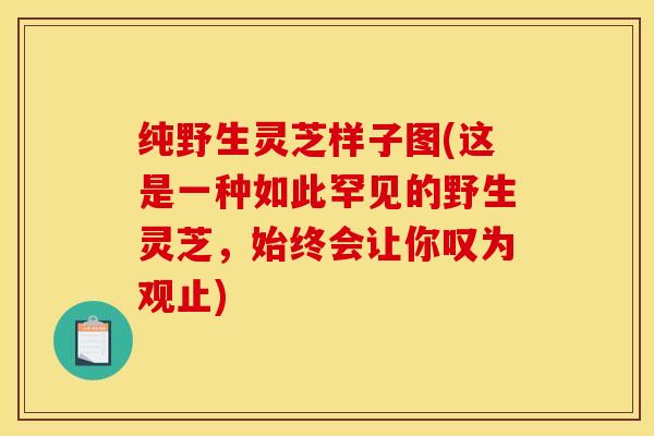 纯野生灵芝样子图(这是一种如此罕见的野生灵芝，始终会让你叹为观止)