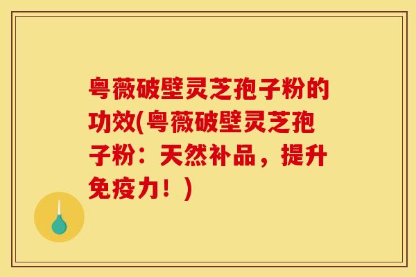粤薇破壁灵芝孢子粉的功效(粤薇破壁灵芝孢子粉:天然补品,提升免疫力!)