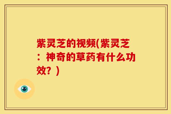 紫灵芝的视频(紫灵芝:神奇的草药有什么功效?)