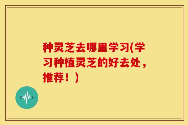 种灵芝去哪里学习(学习种植灵芝的好去处,推荐!)