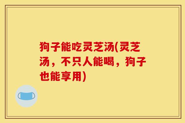 狗子能吃灵芝汤(灵芝汤，不只人能喝，狗子也能享用)