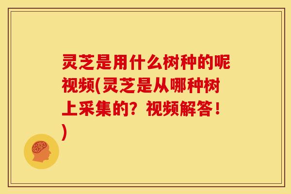 灵芝是用什么树种的呢视频(灵芝是从哪种树上采集的？视频解答！)
