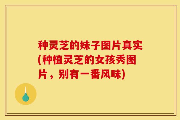 种灵芝的妹子图片真实(种植灵芝的女孩秀图片，别有一番风味)