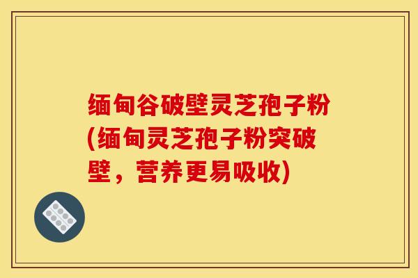 缅甸谷破壁灵芝孢子粉(缅甸灵芝孢子粉突破壁,营养更易吸收)