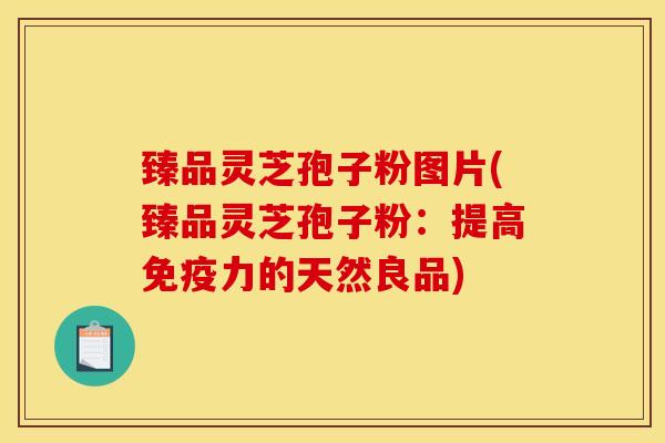 臻品灵芝孢子粉图片(臻品灵芝孢子粉:提高免疫力的天然良品)