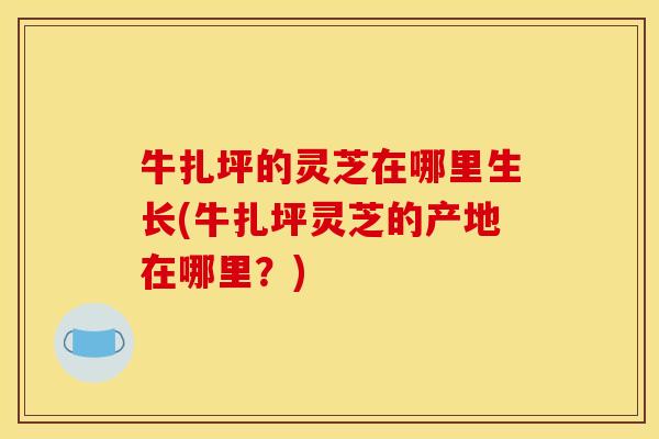 牛扎坪的灵芝在哪里生长(牛扎坪灵芝的产地在哪里?)