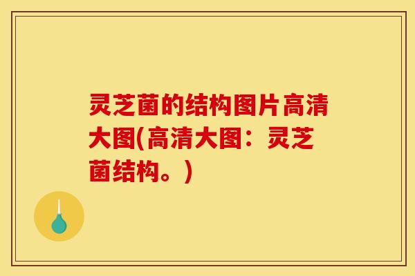 灵芝菌的结构图片高清大图(高清大图:灵芝菌结构。)