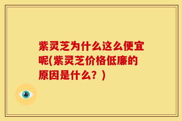 紫灵芝为什么这么便宜呢(紫灵芝价格低廉的原因是什么?)