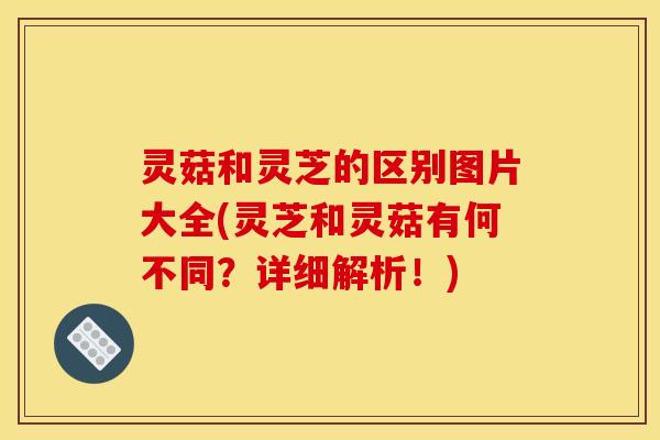 灵菇和灵芝的区别图片大全(灵芝和灵菇有何不同?详细解析!)