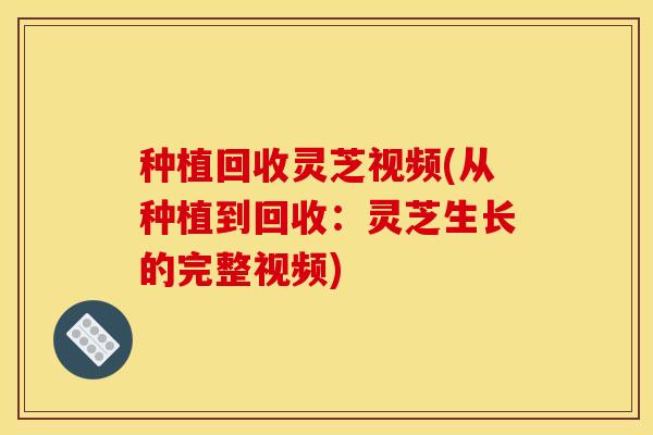 种植回收灵芝视频(从种植到回收:灵芝生长的完整视频)