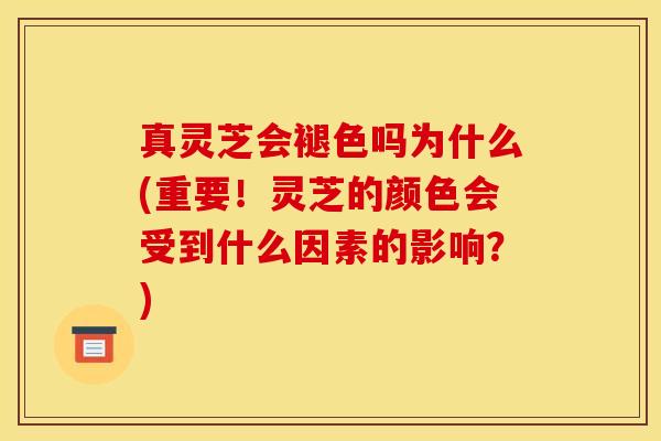 真灵芝会褪色吗为什么(重要！灵芝的颜色会受到什么因素的影响？)