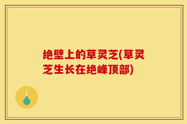 绝壁上的草灵芝(草灵芝生长在绝峰顶部)