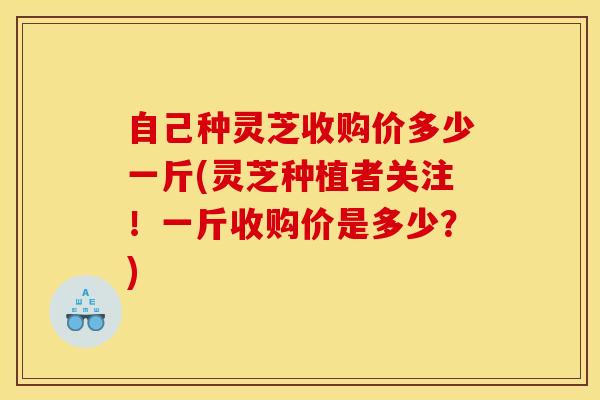 自己种灵芝收购价多少一斤(灵芝种植者关注!一斤收购价是多少?)