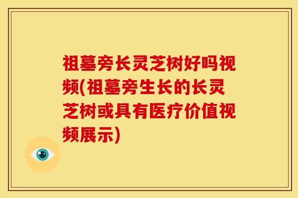 祖墓旁长灵芝树好吗视频(祖墓旁生长的长灵芝树或具有医疗价值视频展示)