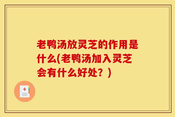 老鸭汤放灵芝的作用是什么(老鸭汤加入灵芝会有什么好处？)