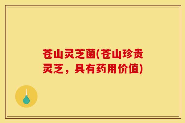 苍山灵芝菌(苍山珍贵灵芝,具有药用价值)