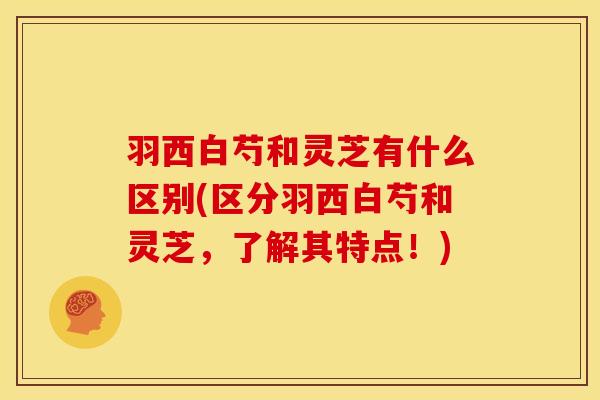 羽西白芍和灵芝有什么区别(区分羽西白芍和灵芝，了解其特点！)