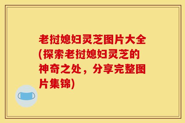 老挝媳妇灵芝图片大全(探索老挝媳妇灵芝的神奇之处，分享完整图片集锦)