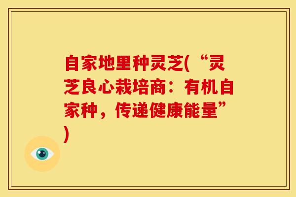 自家地里种灵芝(“灵芝良心栽培商:有机自家种,传递健康能量”)
