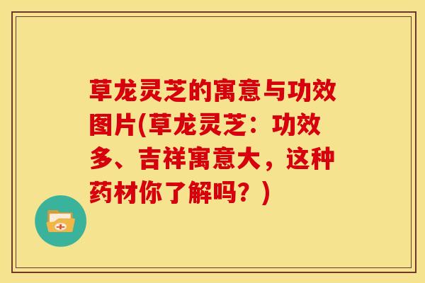 草龙灵芝的寓意与功效图片(草龙灵芝：功效多、吉祥寓意大，这种药材你了解吗？)