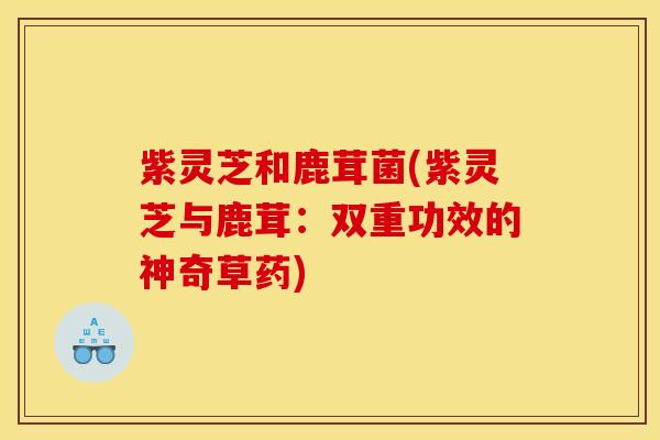 紫灵芝和鹿茸菌(紫灵芝与鹿茸:双重功效的神奇草药)