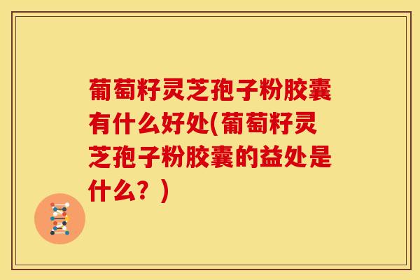 葡萄籽灵芝孢子粉胶囊有什么好处(葡萄籽灵芝孢子粉胶囊的益处是什么?)