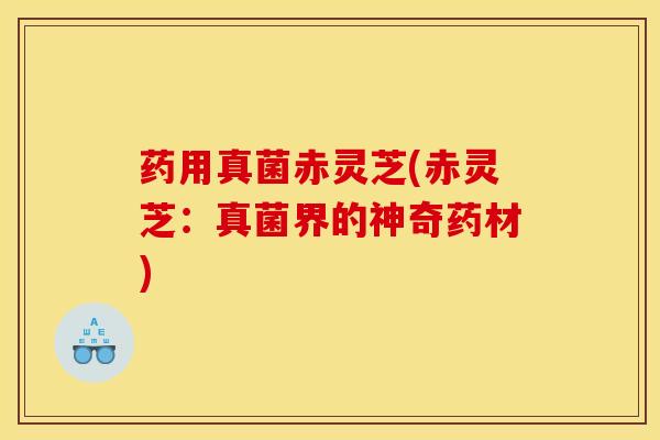 药用真菌赤灵芝(赤灵芝:真菌界的神奇药材)