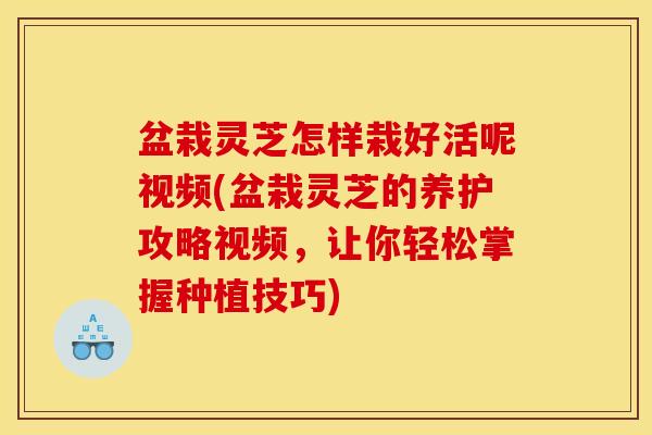 盆栽灵芝怎样栽好活呢视频(盆栽灵芝的养护攻略视频,让你轻松掌握种植技巧)