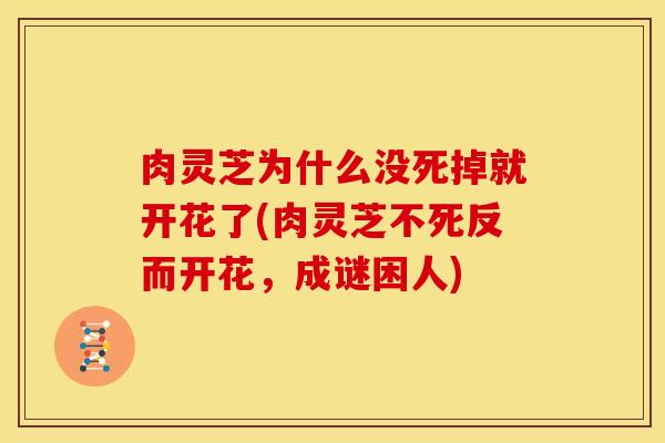 肉灵芝为什么没死掉就开花了(肉灵芝不死反而开花,成谜困人)
