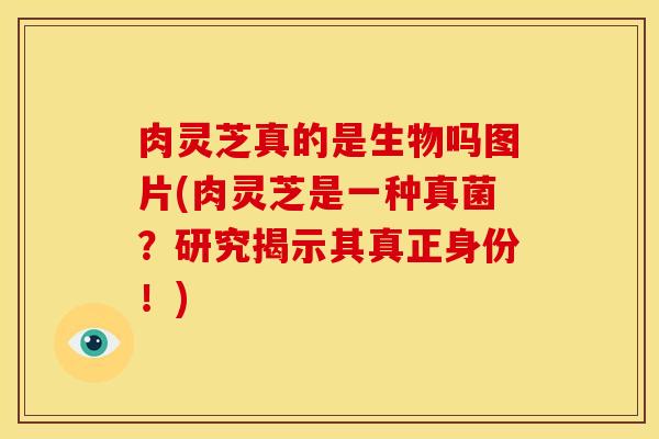 肉灵芝真的是生物吗图片(肉灵芝是一种真菌？研究揭示其真正身份！)