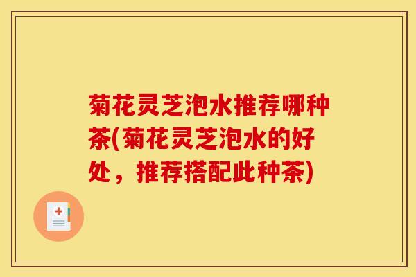 菊花灵芝泡水推荐哪种茶(菊花灵芝泡水的好处，推荐搭配此种茶)