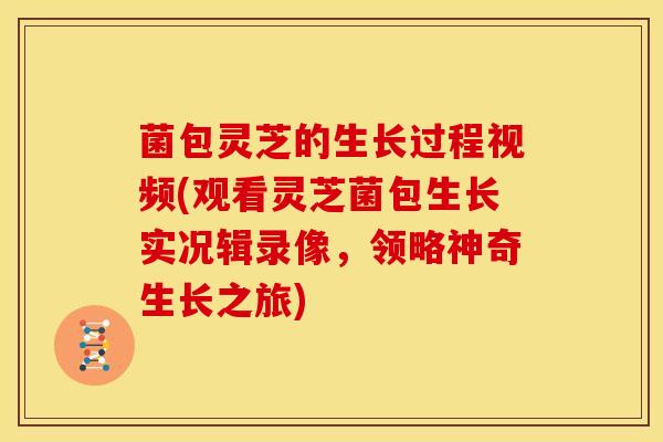 菌包灵芝的生长过程视频(观看灵芝菌包生长实况辑录像,领略神奇生长之旅)