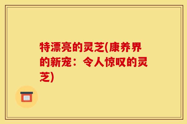 特漂亮的灵芝(康养界的新宠：令人惊叹的灵芝)