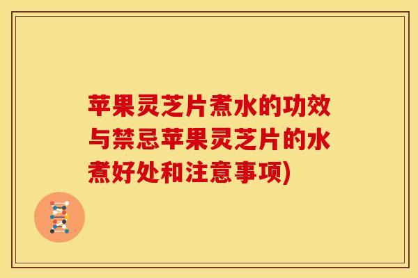 苹果灵芝片煮水的功效与禁忌苹果灵芝片的水煮好处和注意事项)