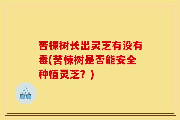 苦楝树长出灵芝有没有毒(苦楝树是否能安全种植灵芝？)