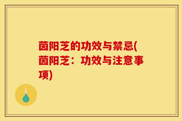 茵阳芝的功效与禁忌(茵阳芝：功效与注意事项)